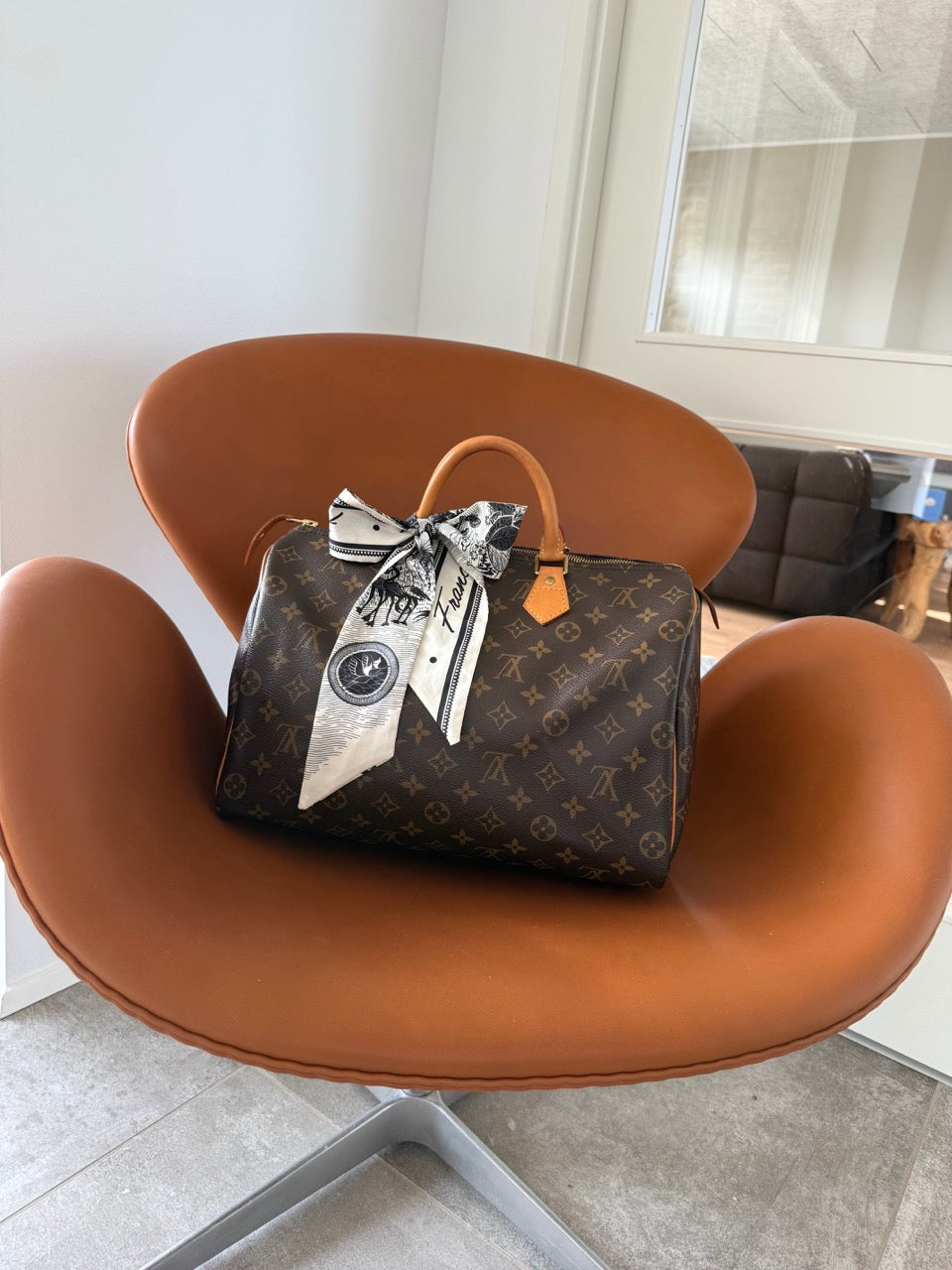 Louis Vuitton Speedy 35