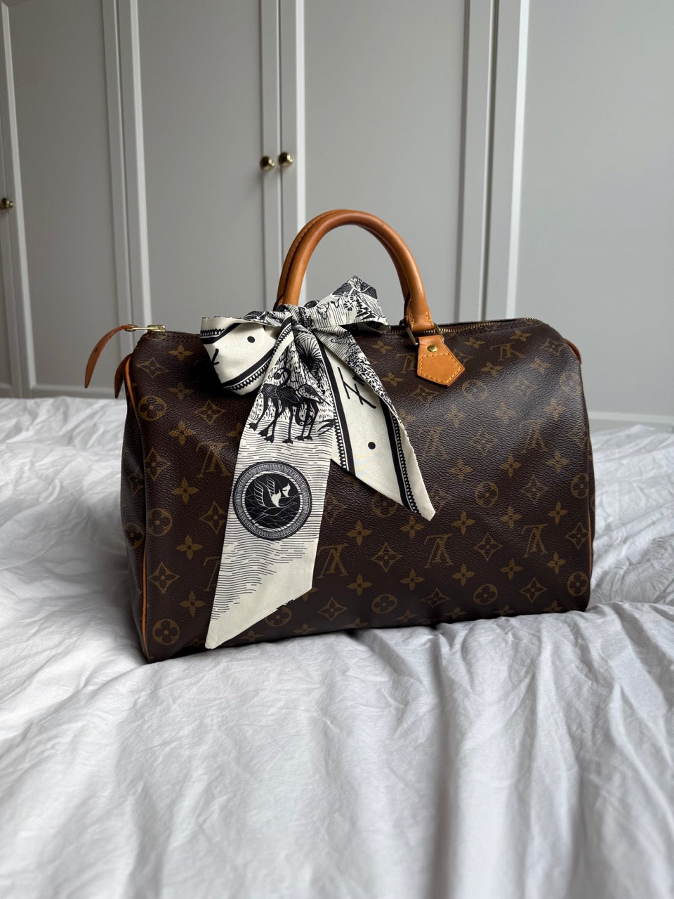 Louis Vuitton Speedy 35