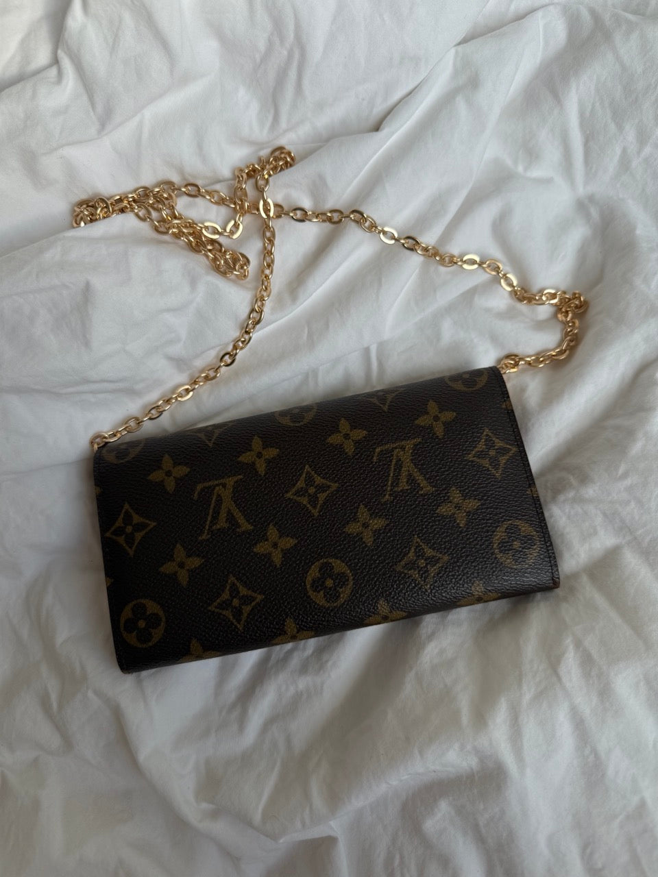 Louis Vuitton Crossbody Wallet