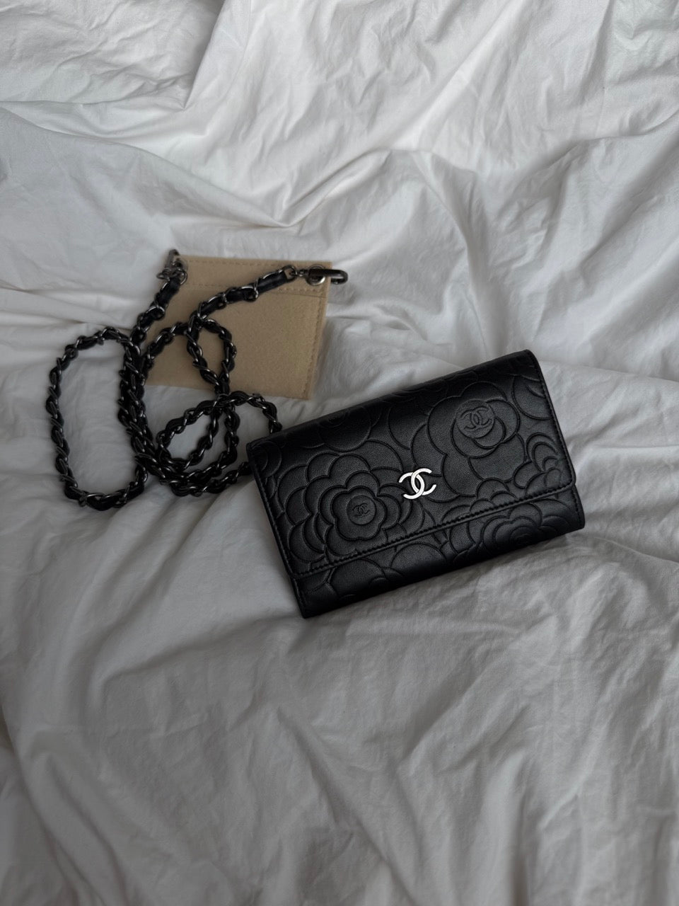 Chanel Crossbody Wallet