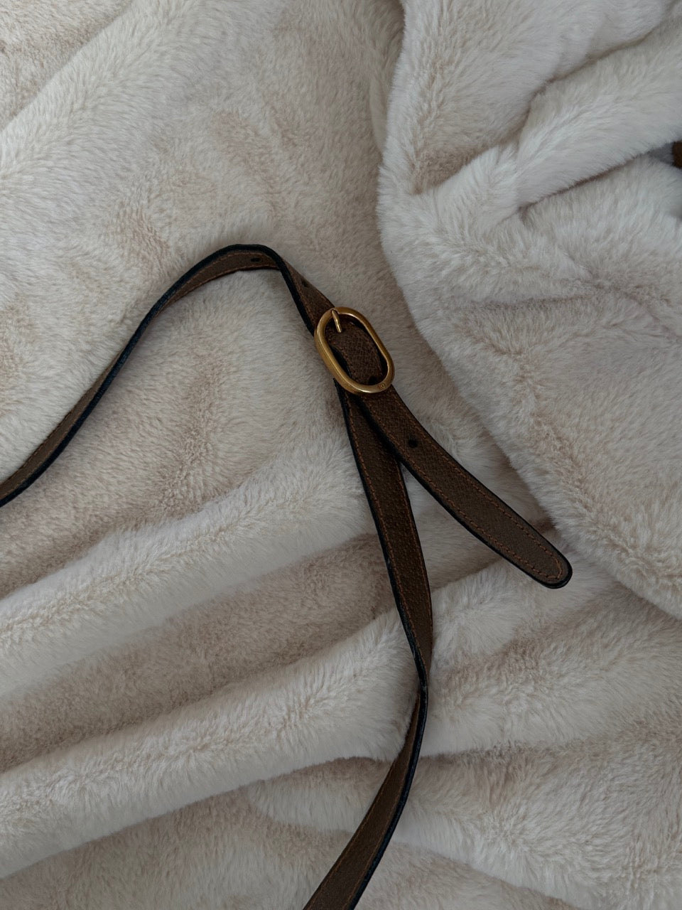 Gucci Monogram Crossbody