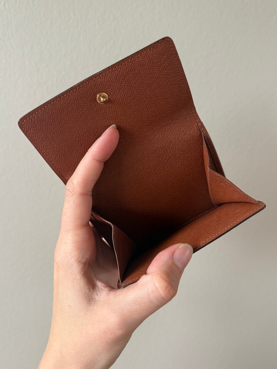 Louis Vuitton Pung